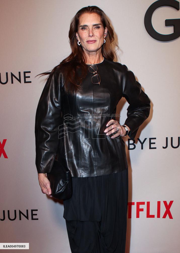 Goodbye June Premiere - NYC