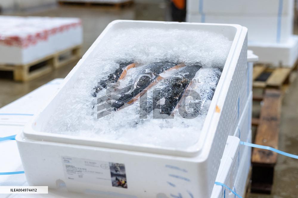 Christmas press visit to the Rungis International Market