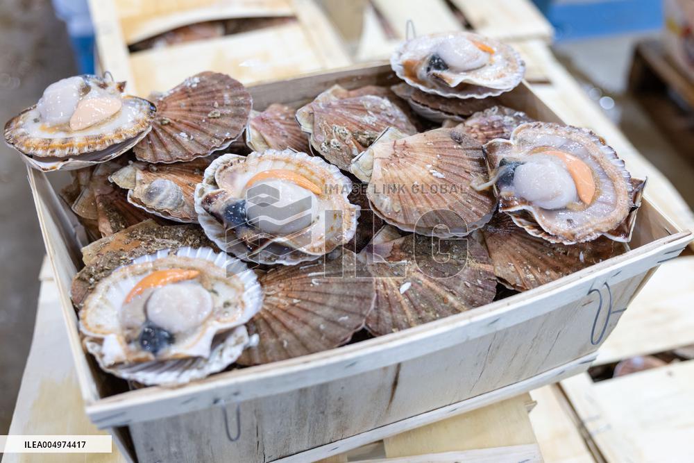 Christmas press visit to the Rungis International Market