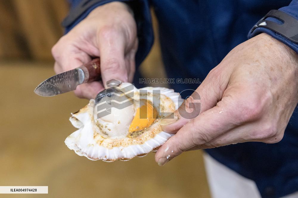 Christmas press visit to the Rungis International Market