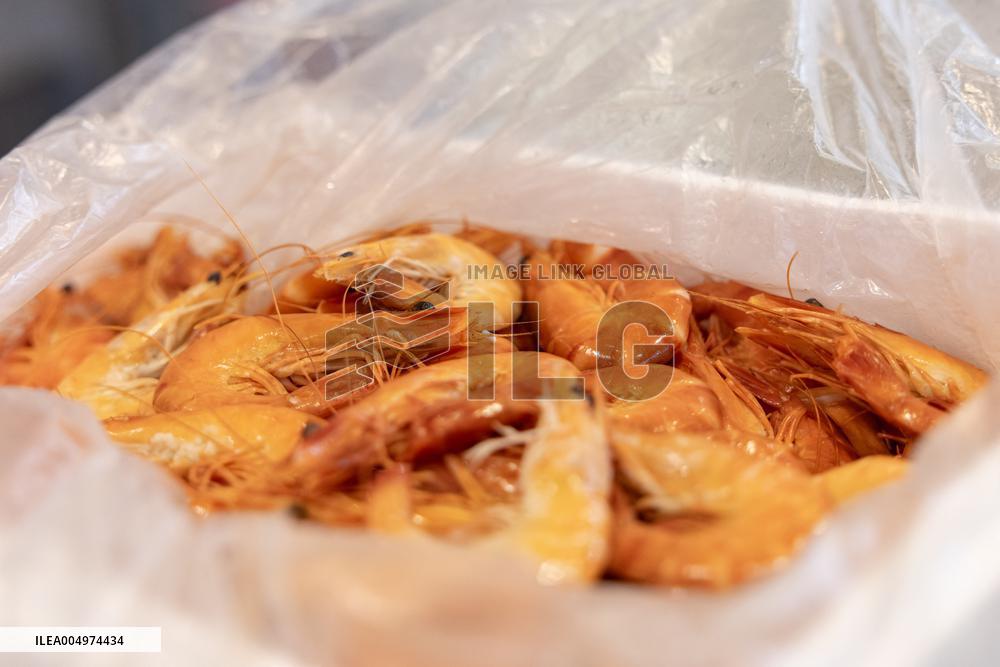 Christmas press visit to the Rungis International Market