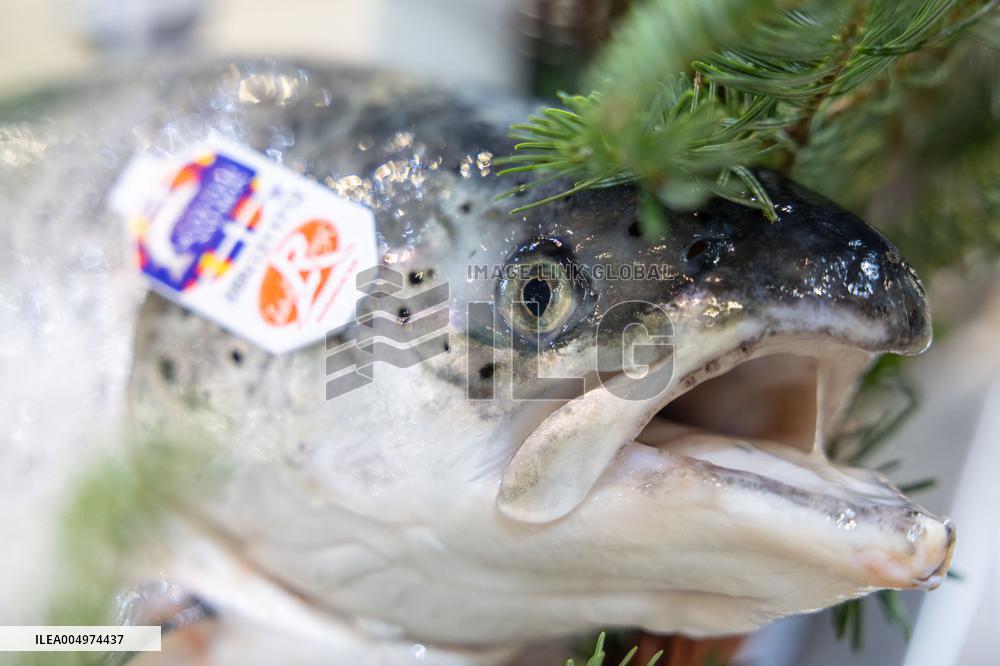 Christmas press visit to the Rungis International Market