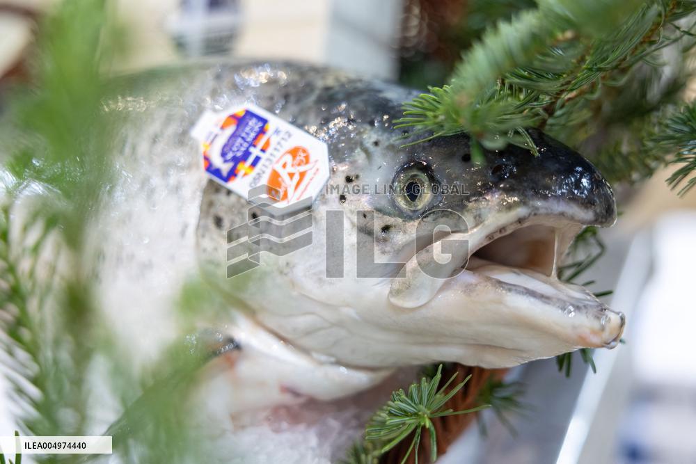 Christmas press visit to the Rungis International Market