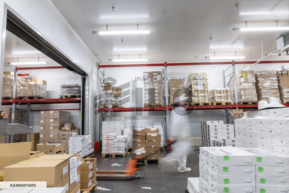 Christmas press visit to the Rungis International Market