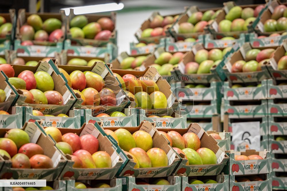 Christmas press visit to the Rungis International Market