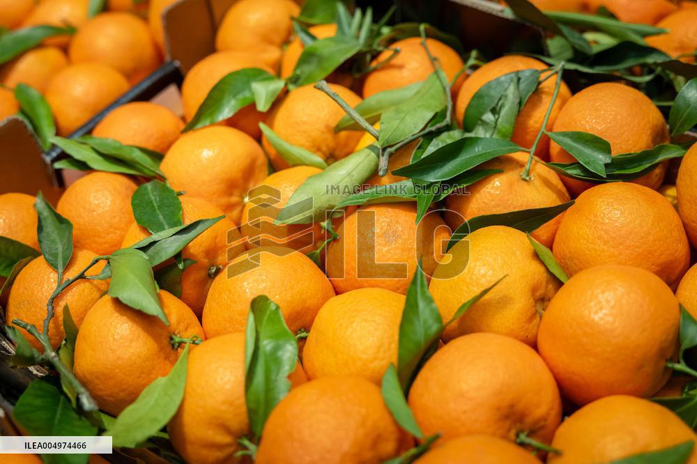 Christmas press visit to the Rungis International Market