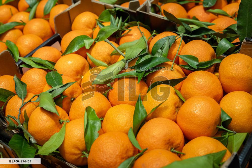 Christmas press visit to the Rungis International Market