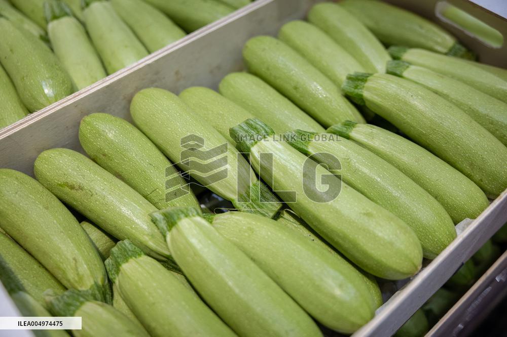 Christmas press visit to the Rungis International Market