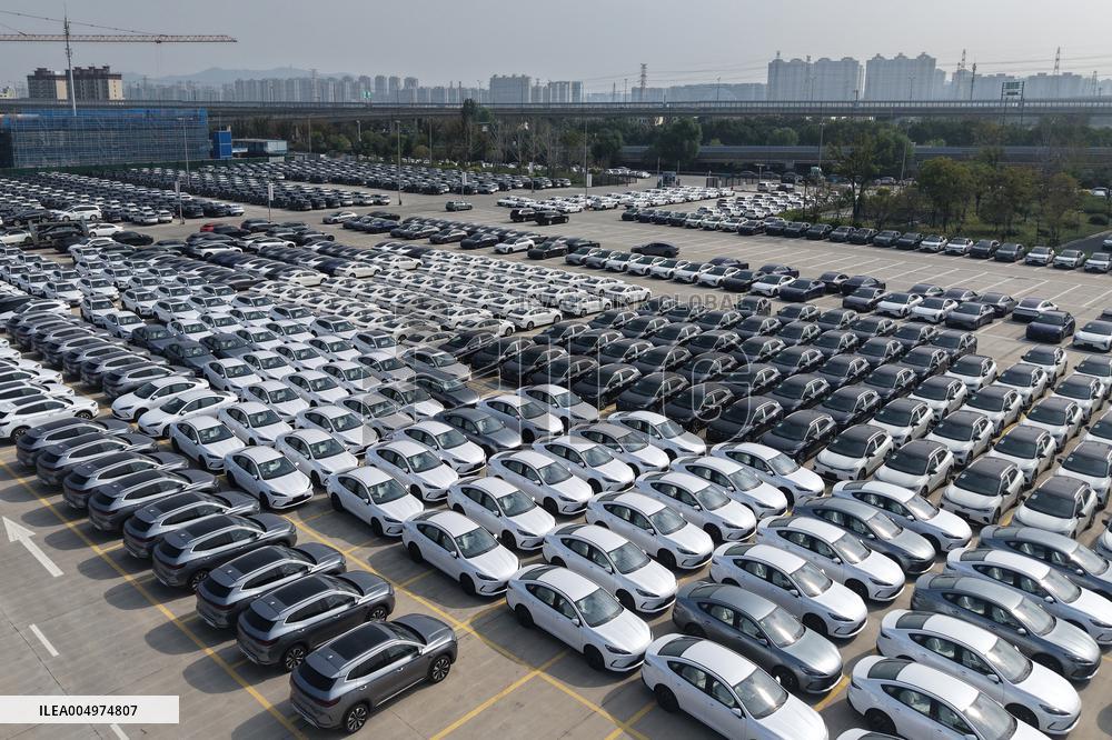 Chinese-made Exported  New Energy Vehicles
