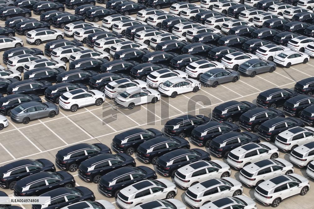 Chinese-made Exported  New Energy Vehicles