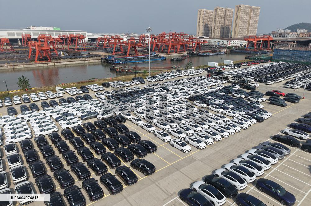 Chinese-made Exported  New Energy Vehicles