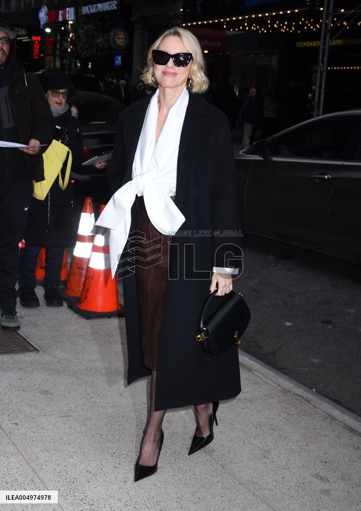 Celebs Arrive At The Robin Williams Center - NYC