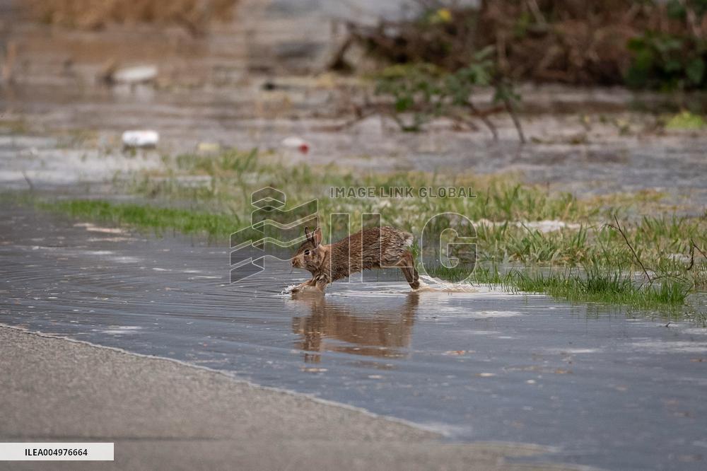 Canada Suffers Severe Flooding and Thousands Evacuated