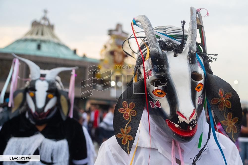 Pilgrims Continue Their Journey Toward Basilica of Guadalupe - Mexico