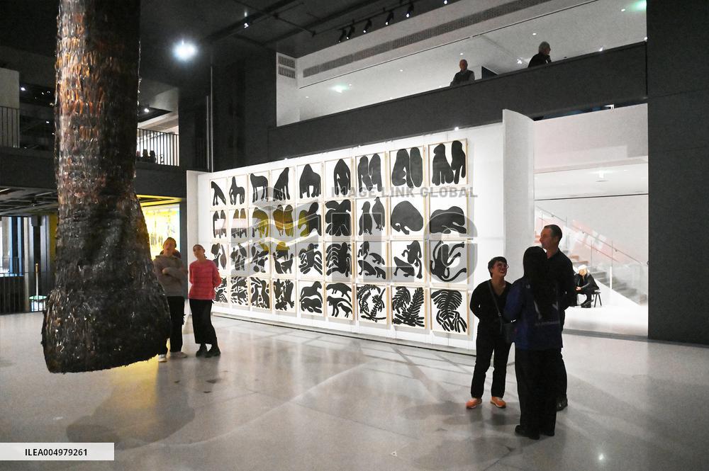 Illustration - Fondation Cartier