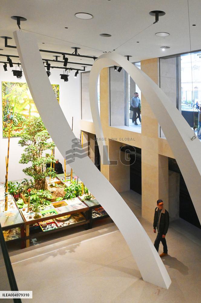 Illustration - Fondation Cartier