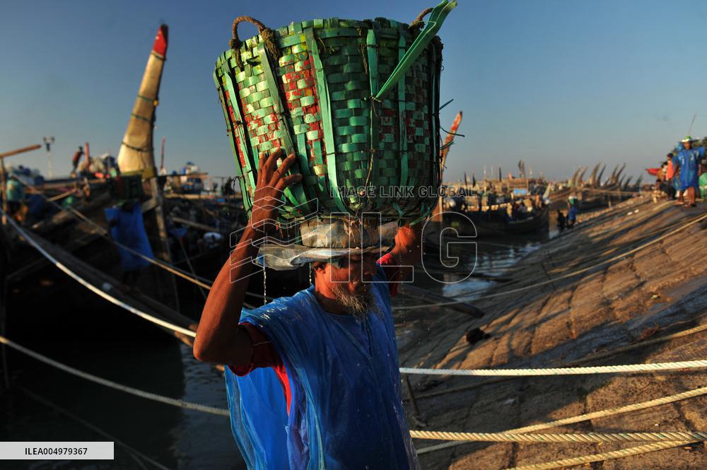 Fishers Unload Fresh Seafood by Boats - Chittagong
