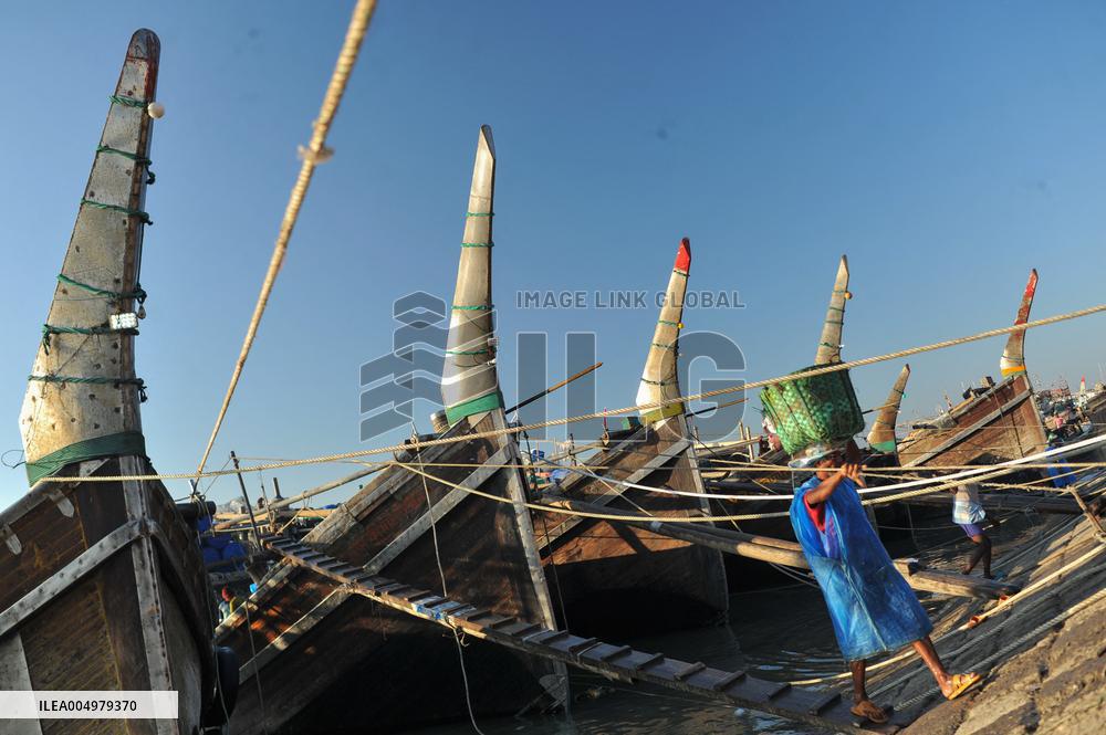 Fishers Unload Fresh Seafood by Boats - Chittagong