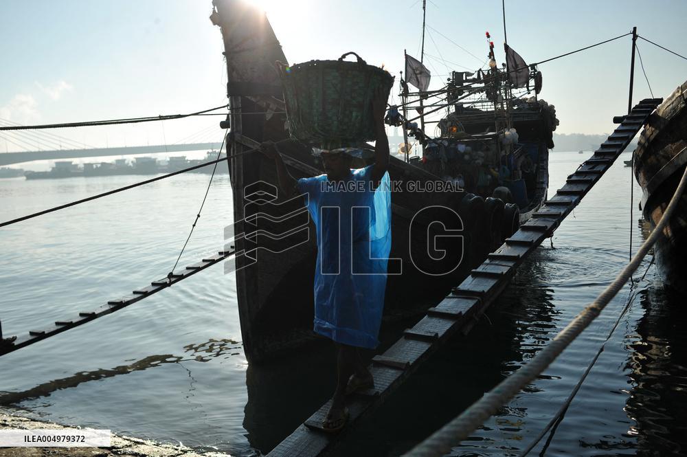 Fishers Unload Fresh Seafood by Boats - Chittagong