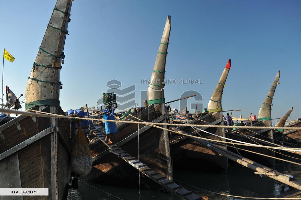 Fishers Unload Fresh Seafood by Boats - Chittagong