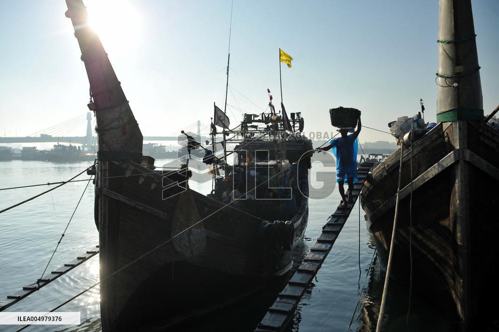 Fishers Unload Fresh Seafood by Boats - Chittagong
