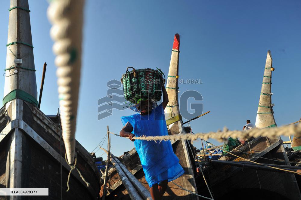 Fishers Unload Fresh Seafood by Boats - Chittagong