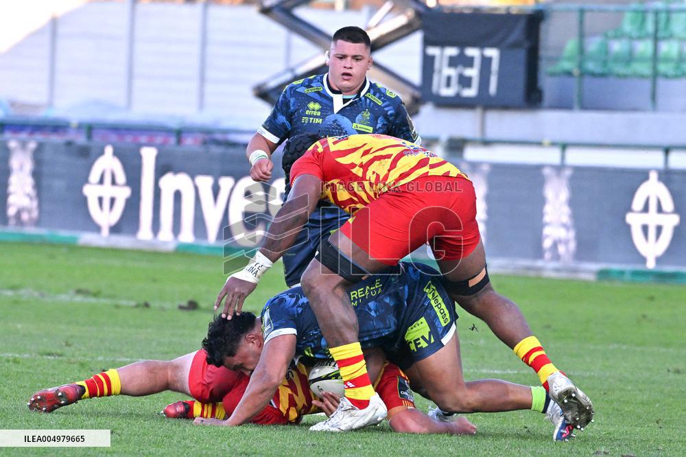 RUGBY - Challenge Cup - Benetton Rugby vs Usap Perpignan