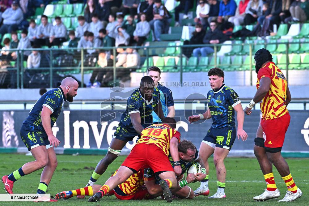 RUGBY - Challenge Cup - Benetton Rugby vs Usap Perpignan