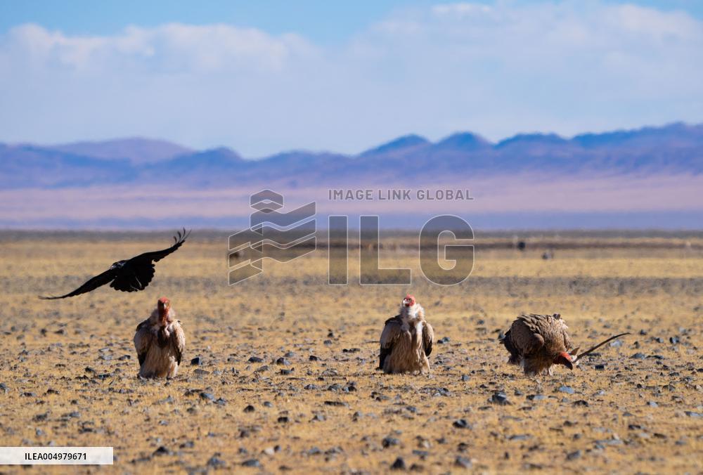 Changtang National Nature Reserve - China