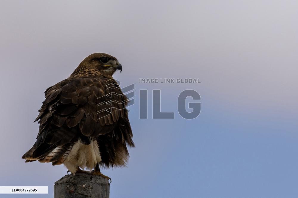 Changtang National Nature Reserve - China