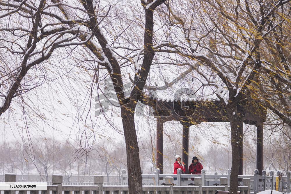 Snowy Landscapes - China