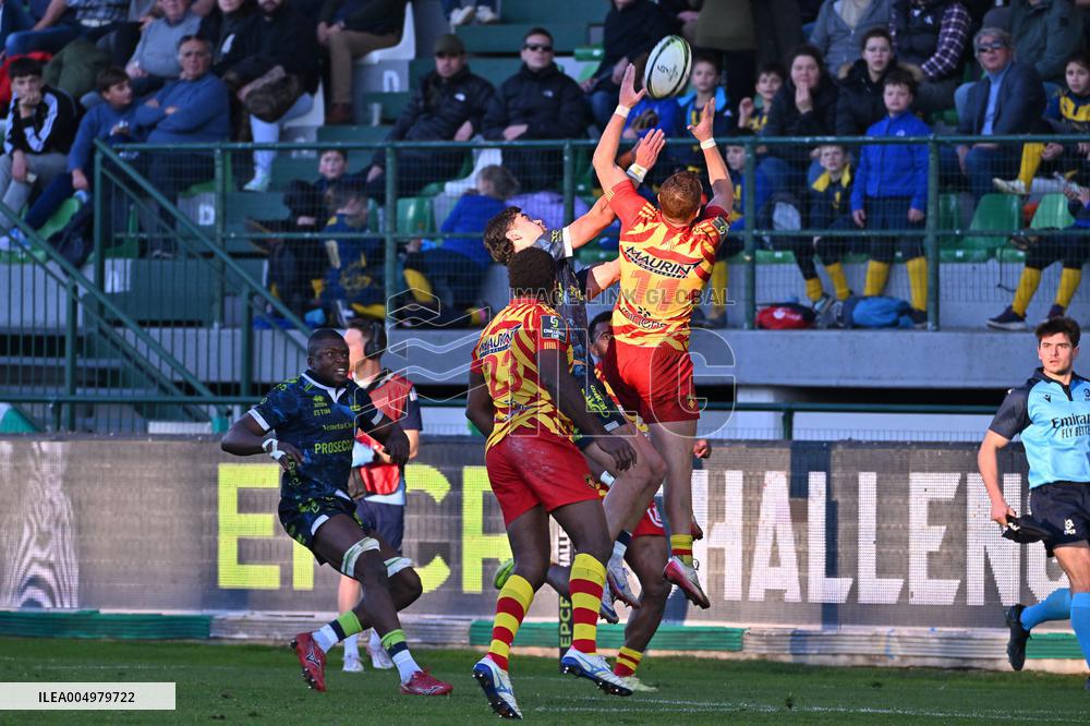 RUGBY - Challenge Cup - Benetton Rugby vs Usap Perpignan