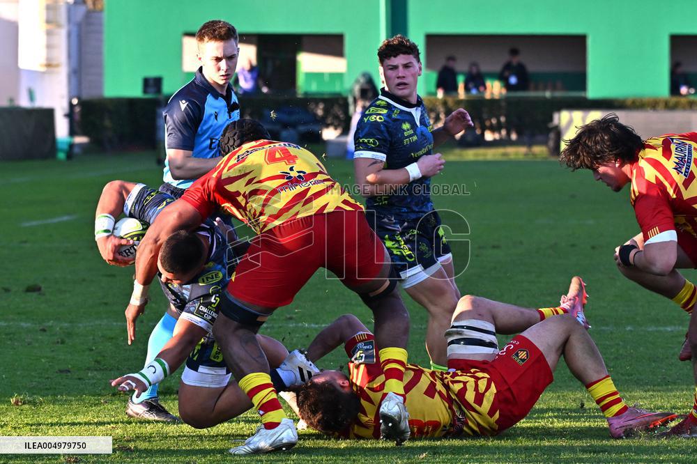 RUGBY - Challenge Cup - Benetton Rugby vs Usap Perpignan