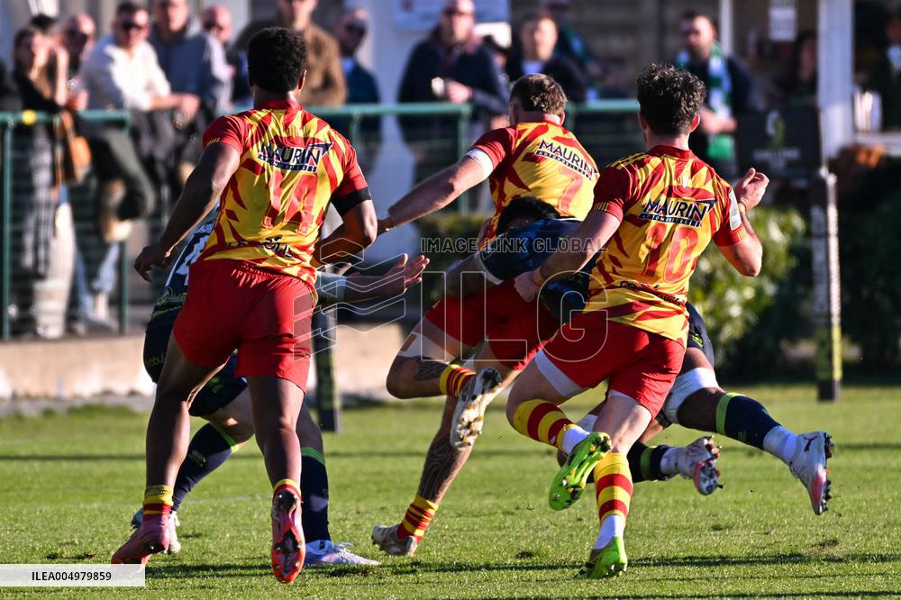 RUGBY - Challenge Cup - Benetton Rugby vs Usap Perpignan