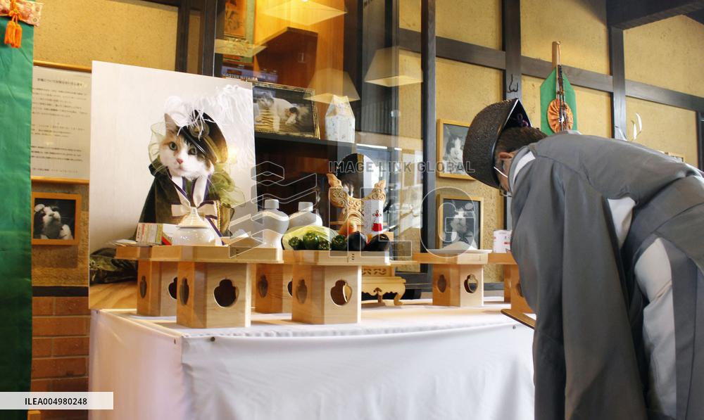 Funeral for cat stationmaster