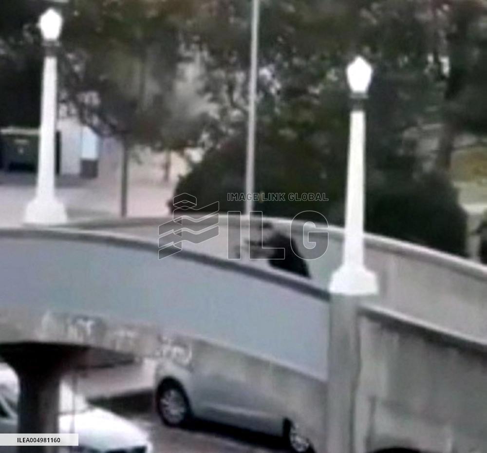 Citizen Hero Disarms Attacker During Bondi Beach Shooting - Sydney