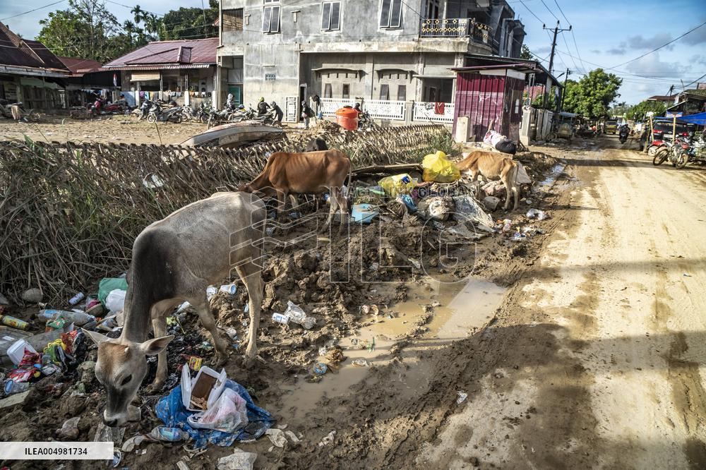 The Asia Pacific Senyar Tropical Cyclone Disaster Aftermath - Indonesia