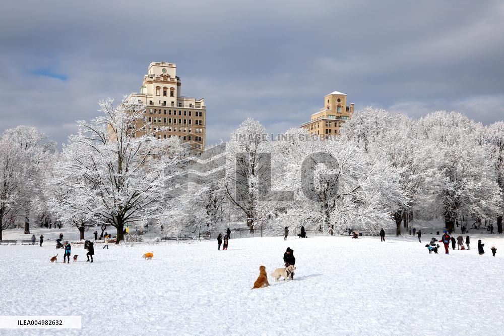 Snow During Winter Storm - NYC