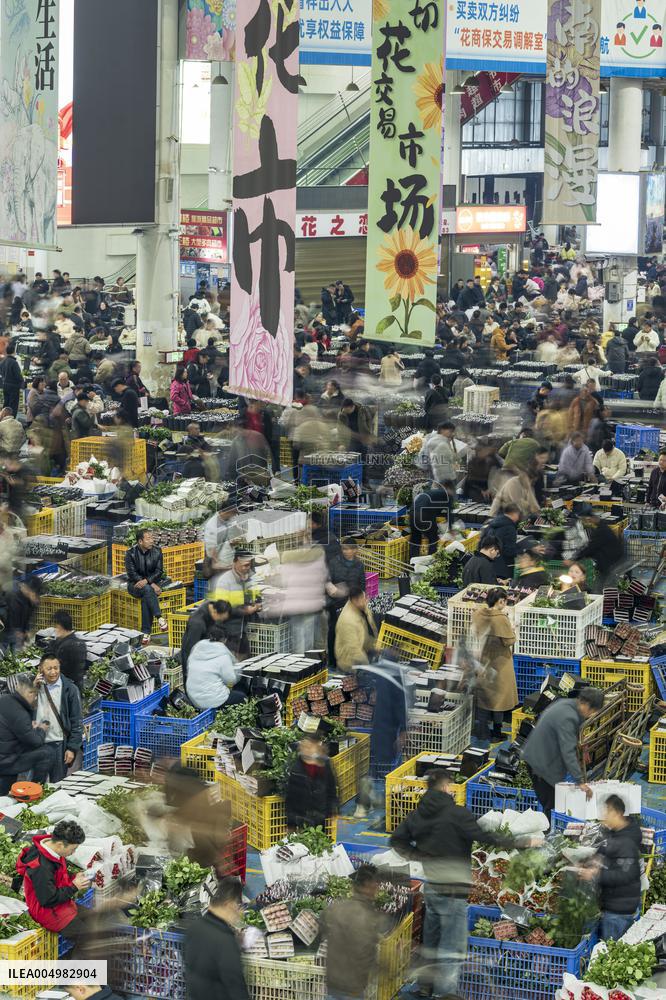 Largest Flower Market in Asia
