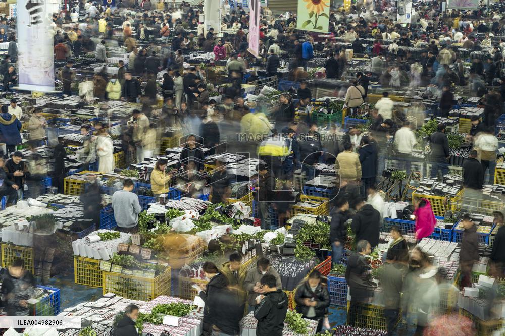 Largest Flower Market in Asia