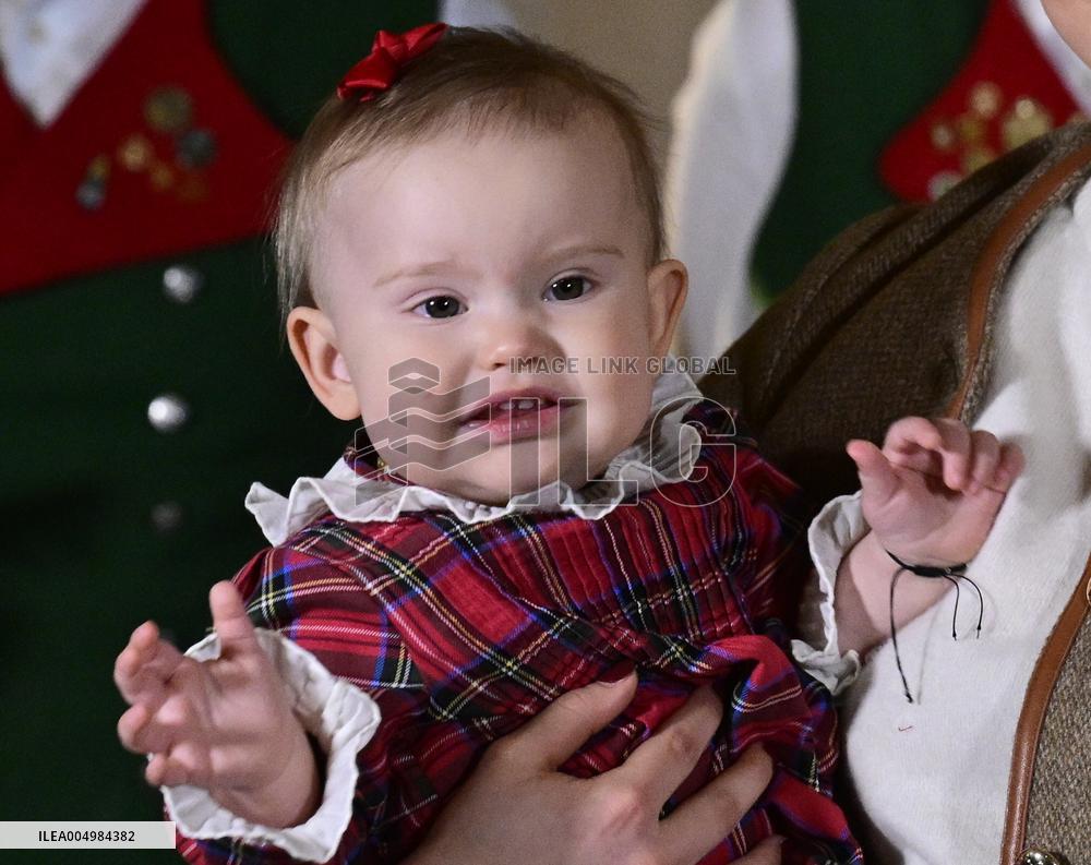 SWEDEN ROYAL PALACE CHRISTMAS TREES