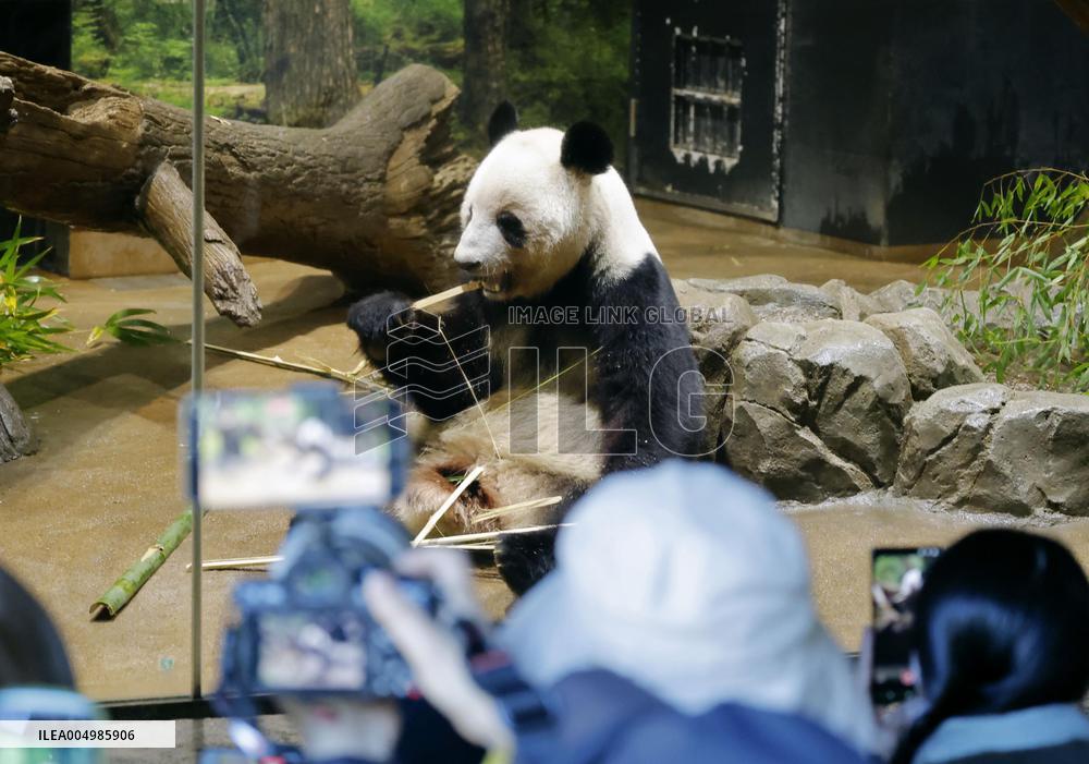 Pandas at Tokyo's Ueno zoo set to return to China