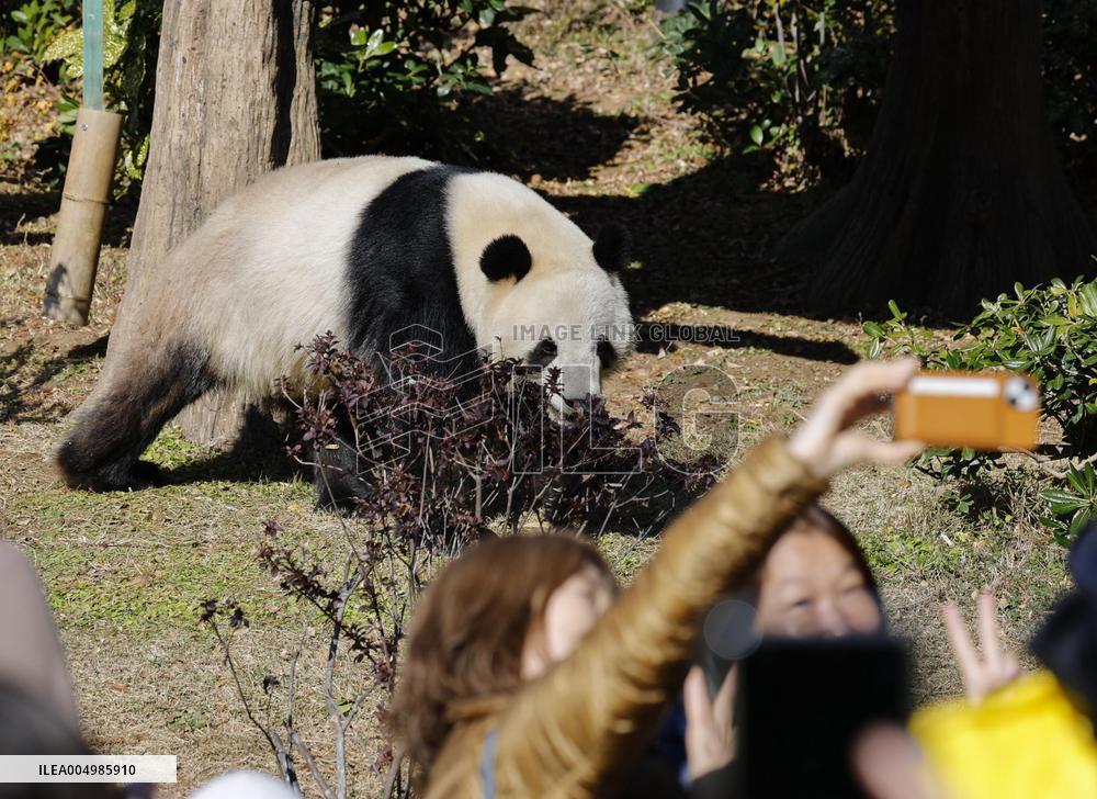 Pandas at Tokyo's Ueno zoo set to return to China