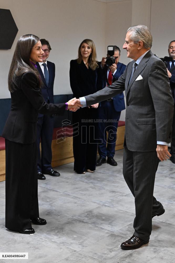 Queen Letizia Presides Over Fad Meeting In Madrid - Spain