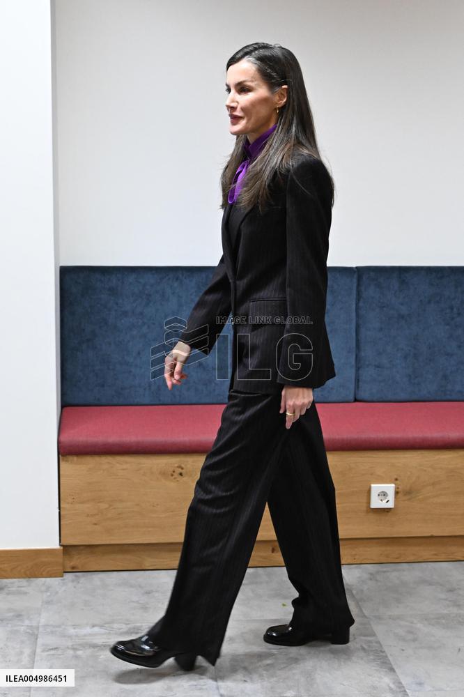 Queen Letizia Presides Over Fad Meeting In Madrid - Spain