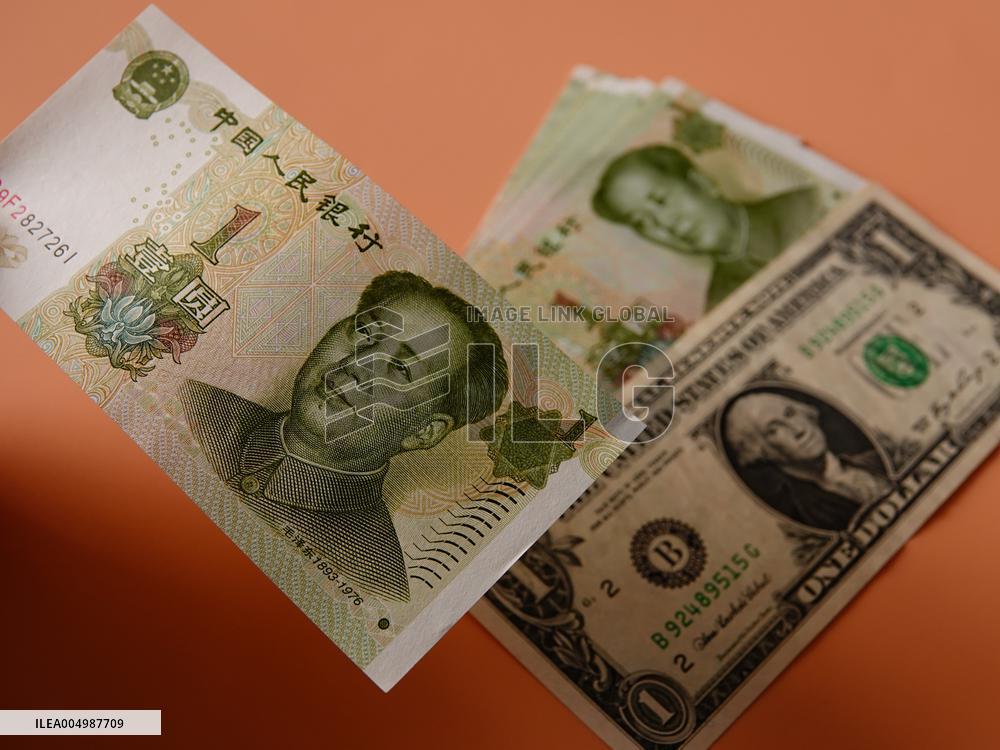 RMB USD Exchange Rate