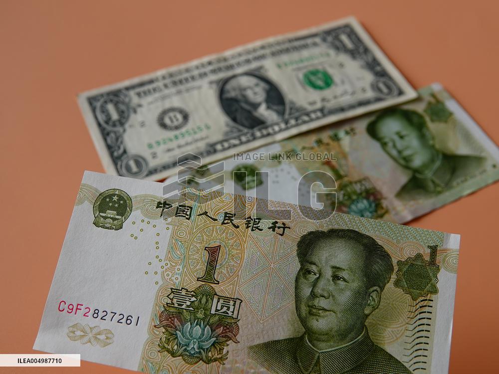 RMB USD Exchange Rate