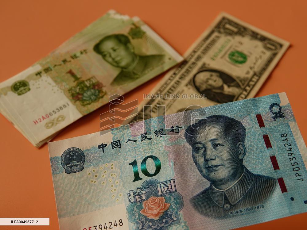 RMB USD Exchange Rate