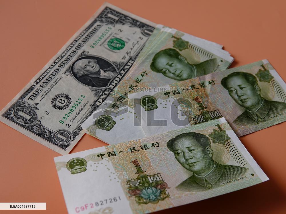RMB USD Exchange Rate