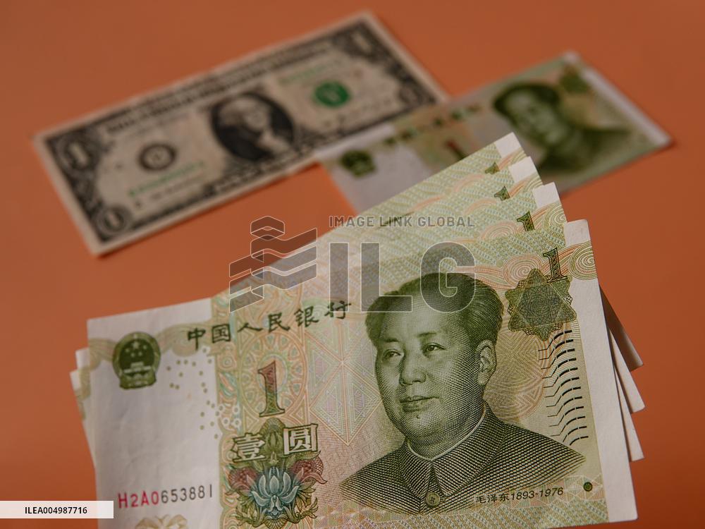 RMB USD Exchange Rate